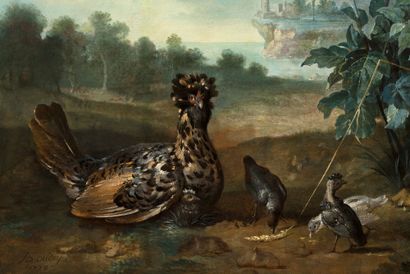 ATELIER DE JEAN-BAPTISTE OUDRY PARIS, 1686 - 1755, BEAUVAIS 
胡丹的母鸡和她的小野鸭和鹅卵石

布面油画（一对）

左下方有签名和日期

JB。Oudry...