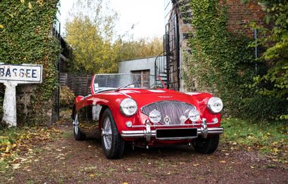 1956 Austin-Healey 100/4 Bn2 French registration title

Most sought-after BN2 version:...