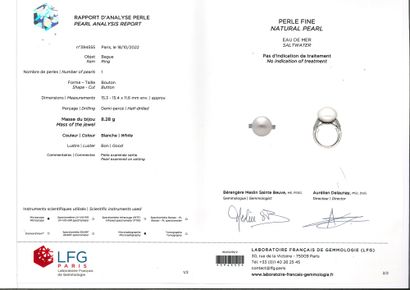 null 优秀珍珠戒指
精美的珍珠扣，长方形钻石
铂金 (950)
Td。: 51 - Pb.8.2克
附带一份LFG证书N°394555，证明:
精美的珍珠，海水
尺寸：15.3...