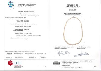 null 项链 "精美的珍珠
由66颗优质珍珠组成的项链。
Pb.28.7克
附有LFG N°394929证书，证明:
精美的珍珠，海水
尺寸：4.8 - 8....