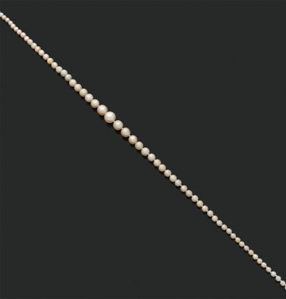 null 项链 "精美的珍珠
项链由78颗珍珠组成，未经测试，中间有一颗养殖珍珠。
带圆钻的扣子，18K（750）金
尺寸：8.08 x 3.07毫米左右。
P...