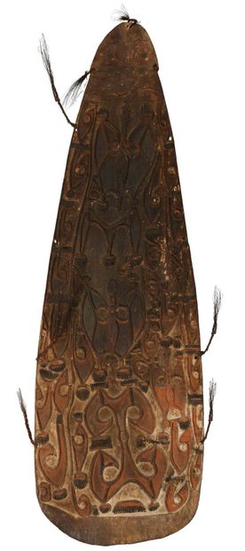 巴布亚新几内亚，西北地区 礼仪和战斗盾牌，浮雕蝙蝠图案。
背面有大型握把。
硬木用赭石、红色和白色颜料、植物纤维、袋鼠羽毛强化
Aire...