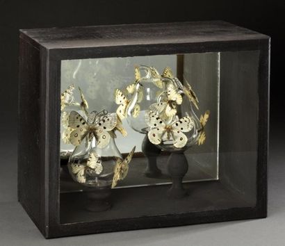 null Diorama composé de deux pommes en verre et papillons parnassius phoebus et de...
