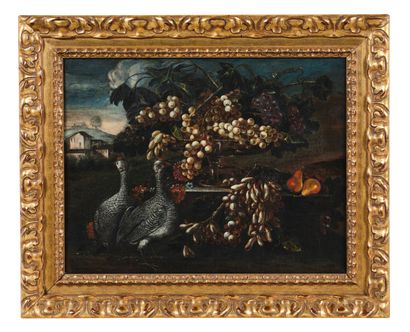 ENTOURAGE DE GIOVANNI CRIVELLI, IL CRIVELLINO (C. 1690 – 1760) Still life with guinea...