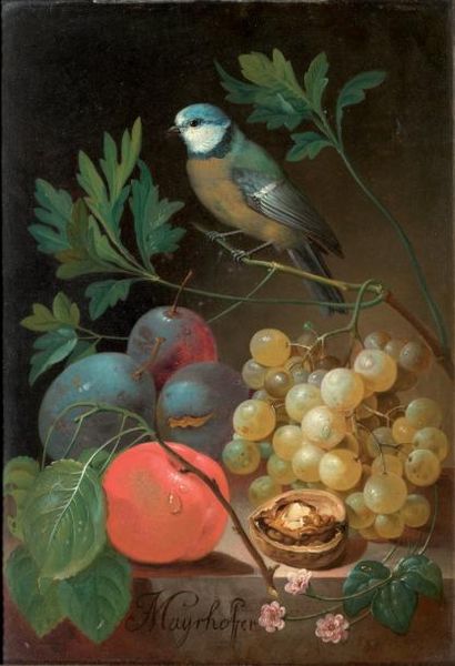 Yohann NEPOMUK MAYRHOFFER (1764-1832) Orange, raisin, prune, et mésange sur une branche...