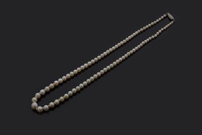 null NECKLACE OF "FINE PEARLS
Drop of 88 pearls supposedly fine, not tested
Spacer...