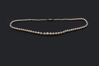 null NECKLACE OF "FINE PEARLS
Drop of 88 pearls supposedly fine, not tested
Spacer...