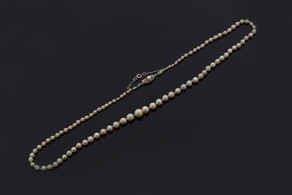 null NECKLACE OF "FINE PEARLS AND CULTURED PEARLS
Drop of 98 fine and cultured pearls
Clasp,...