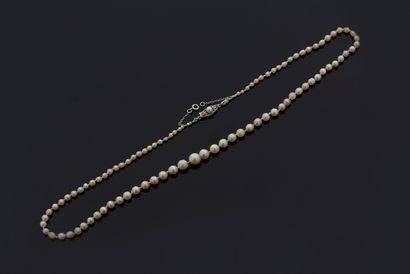 null COLLIER DE «PERLES FINES ET CULTURE»
Chute de 98 perles fines et de culture
Fermoir,...