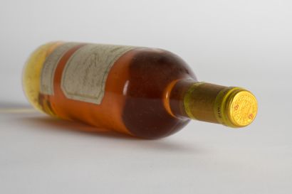 null 1 B CHÂTEAU D'YQUEM (T.L.B.+; e.t.h.) - 1991 - C1 Supérieur Sauternes