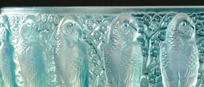 RENE LALIQUE (1860-1945) Coupe «Perruches» en verre moulé-pressé opalescent teinté...