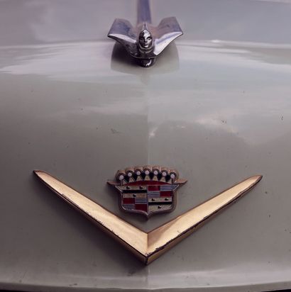 1953 - Cadillac Série 62 Coupé Titre de circulation espagnol
Vendue sans contrôle...