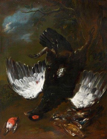 Frans Werner VAN TAMM (1658-1724) Tétras pendu par la patte entouré d'un rouge-gorge...