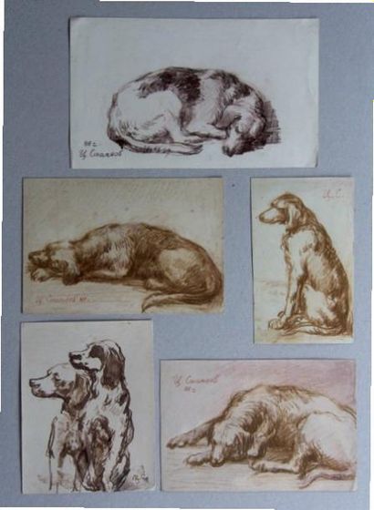 Tsotcho STOYANOV (1904-1974) Cinq études de chiens Sanguine sur papier, signée et...