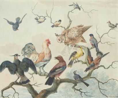 Jabez HEENCK (La Haye, 1752- Leyde,1782) Chouette et divers oiseaux en concert sur...