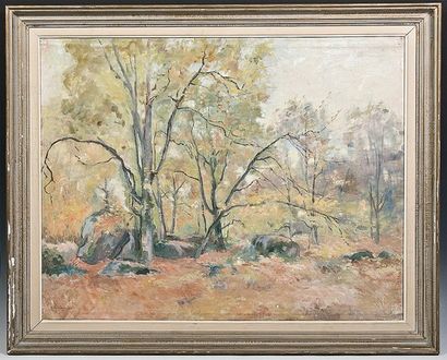 Sylvie DEPEIGE Paysage de forêt Huile sur toile 64 x 80 cm