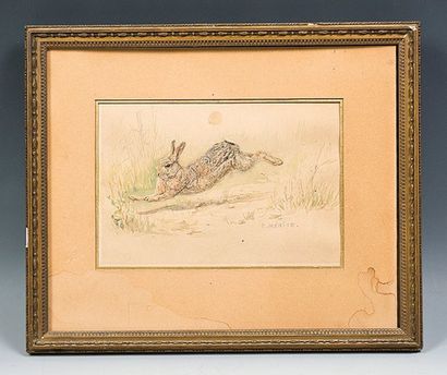 MERITE Edouard Paul (1867-1941) Le lièvre. Aquarelle et réhauts. signée en bas à...