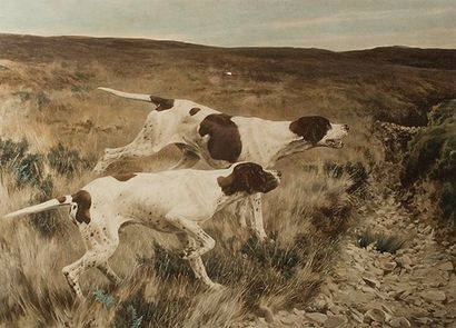 BLINKS Thomas (1853-1910) Lithographie. Deux chiens à l'arrêt. 94 x 77 cm.