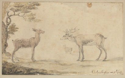 DELAVILLE, XVIIIème siècle Etude de cerf et biche Pierre noire et aquarelle 12,5...