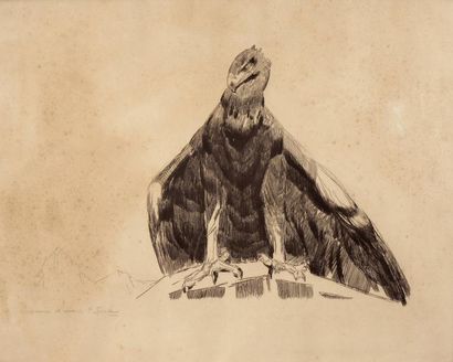 Paul JOUVE (1878-1973), d'après «Aigle sur fond de montagne » Gravure sur papier....