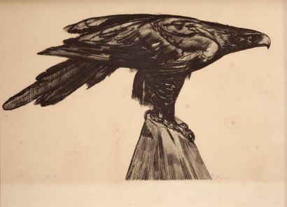Paul JOUVE (1878-1973), d'après «L'aigle au sommet du rocher» Gravure sur papier....