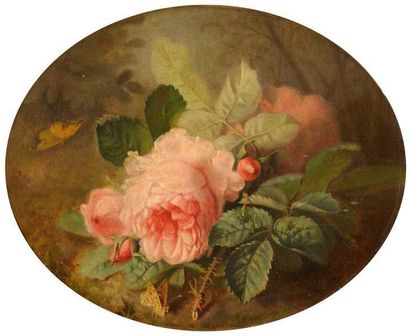 Jules Ferdinand MEDARD - attribué à (1855 -1925) Roses et papillons Huile sur panneau,...
