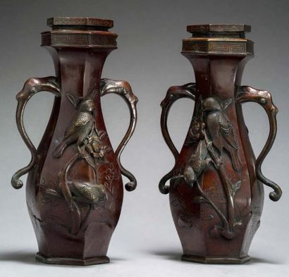 JAPON Paire de vases hexagonaux en bronze à patine brun rouge à deux anses figurant...