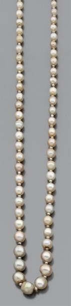 null Collier de 71 perles fines - non testées - en chute alternées de petites perles....