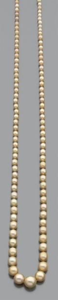 null Collier de 98 perles fines et 15 perles de culture (aux extrémités) en chute....