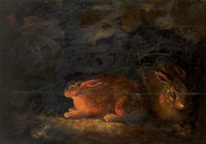 Attribué à Wenzel PETER (1745 - 1829) Deux lièvres tapis dans les marais Panneau...