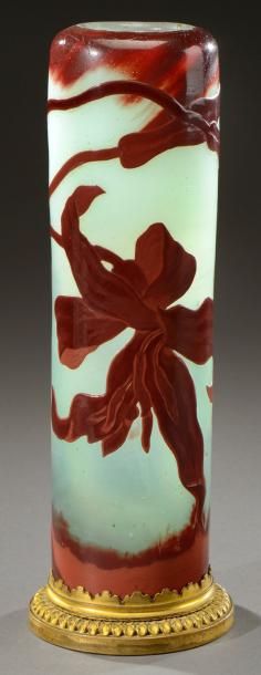 Émile GALLÉ (1846-1904) Vase à corps tubulaire en verre doublé à décor dégagé à l'acide...