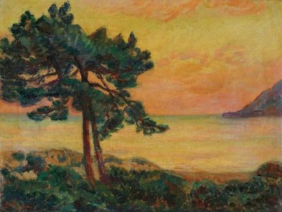 Armand GUILLAUMIN (1841-1927) Le pin au coucher du soleil Huile sur toile, signée...