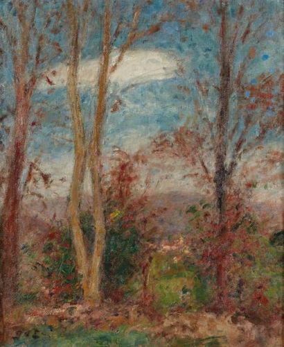 Georges D'ESPAGNAT (1870-1950) Paysage d'automne Huile sur toile, monogrammée en...