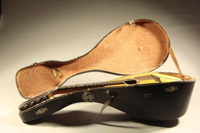null Mandoline avec étiquette de Egildo et datée 1906 Boîte