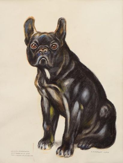 ANDRÉ MARGAT (1903-1997) Dessin au pastel figurant un bulldog français. Signé «A.Margat-1950»...