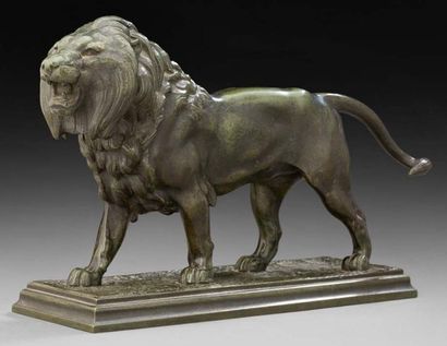 Alfred BARYE Fils (1839-1882), d'après Lion rugissant en bronze à patine verte Dim.:...