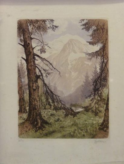 Joanny DREVET (1889-1969) Le Mont Blanc - Forêt de Passy, 1949 Eau forte, signée,...