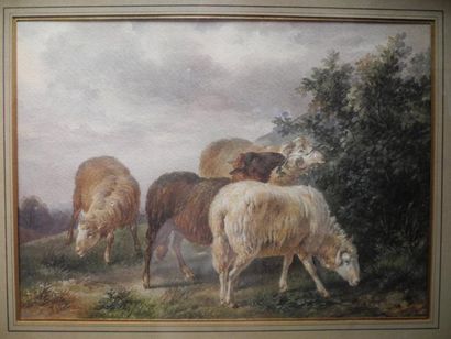 ECOLE FRANCAISE DU XIXème siècle Paysage aux moutons Aquarelle, signée en bas à gauche...