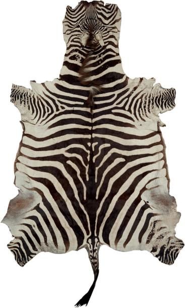 null Peau de zèbre «Equus zebra bruchellii» Long.: 200 cm. N/R