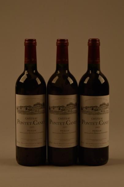 null 3 B CHÂTEAU PONTET CANET (1 e.l.a.) GCC5 Pauillac 2003