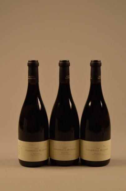 null 3 B CHAMBOLLE MUSIGNY LES AMOUREUSES (1er Cru) 1 accroc étiquette Amiot-Servelle...