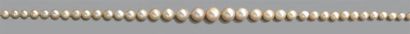 null Rang composé de 90 perles fines en chute Poids brut: 10.94gr Accompagné d'un...