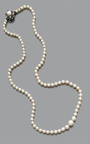 null Collier composé de 98 perles fines et 2 perles de culture en chute. Fermoir...