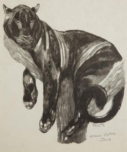 Paul JOUVE (1878-1973) «Panthère branchée» Lithographie originale en noir sur papier...