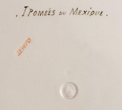 THEODORE DECK (1823-1891) et décor de A.L REGNIER «Ipomées du Mexique» Important...