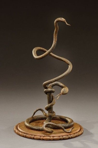 Michel ZADOUNAÏSKY (1903-1983) Elément décoratif en fer forgé présentant deux serpents...