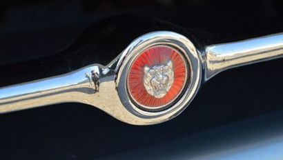 1964 - JAGUAR TYPE E 3.8 COUPE «Le fruit d'un passé glorieux et l'avenir de Jaguar»...