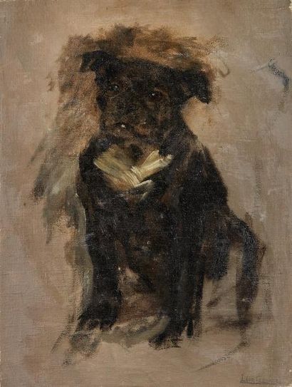 Léon François COMERRE (1850-1916) Chien assis Huile sur toile, signée du cachet en...