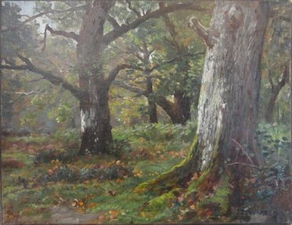 James DESVARREUX-LARPENTEUR (1847-1937) Le bois d'Escandos Huile sur toile, signée...