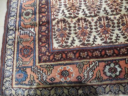 null KURDISTAN - Nord ouest de la Perse Important tapis à semis de botehs sur fond...